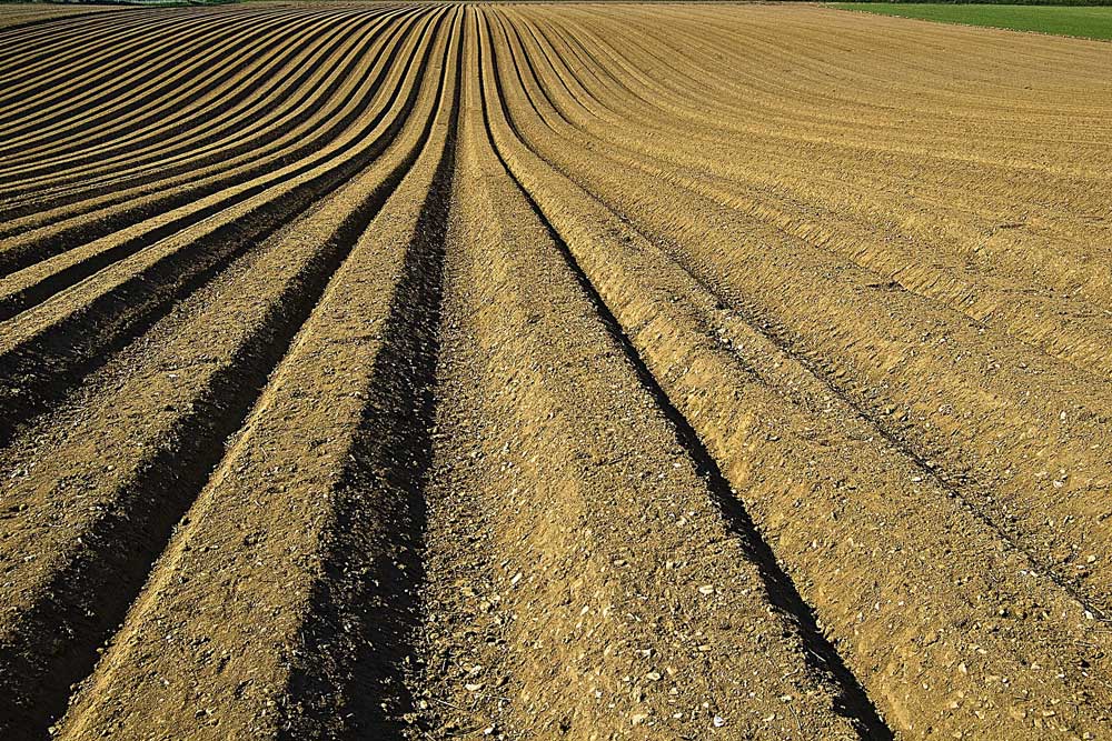 Ignore soil at your peril