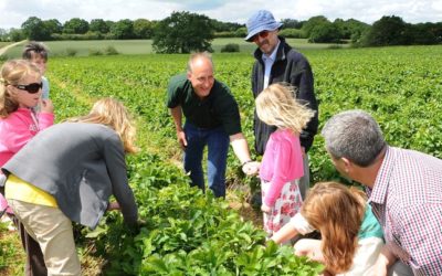 LEAF Open Farm Sunday announces plans to  support new host farmers