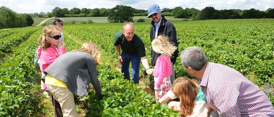 LEAF Open Farm Sunday announces plans to  support new host farmers