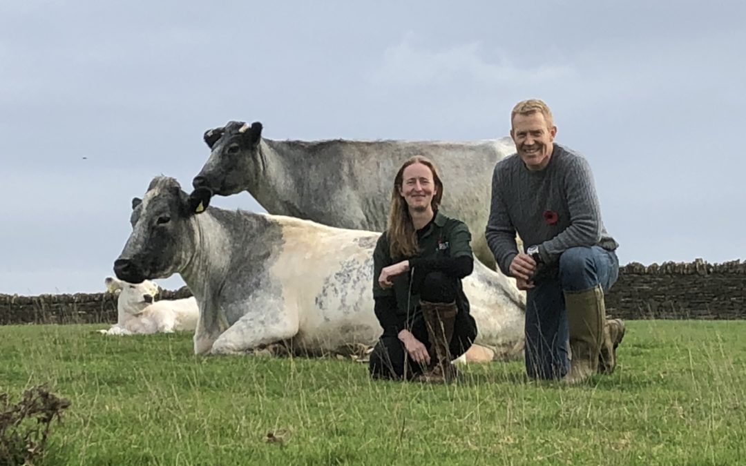 Adam Henson Helps Save Rare Breed Cattle