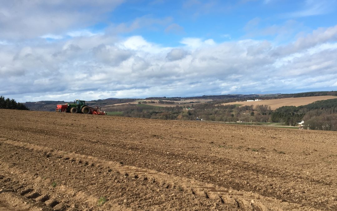 Isn’t it time Scotland became properly cooperative?
