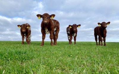 Industry collaborates on new toolkit to beef up confidence during January