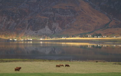 Scotland’s food story backed by blockchain