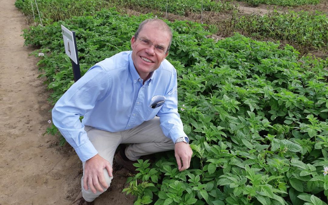 High technology used to measure and value potato treatment