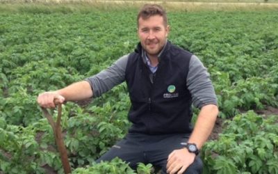 InVigor Perfromer yields 2.72 t/ha in 2020 and delivers financial results