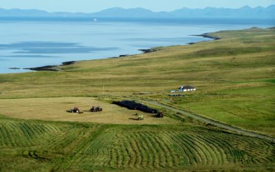 Crofting Commission and Scottish Crofting Federation welcome responsible tourism