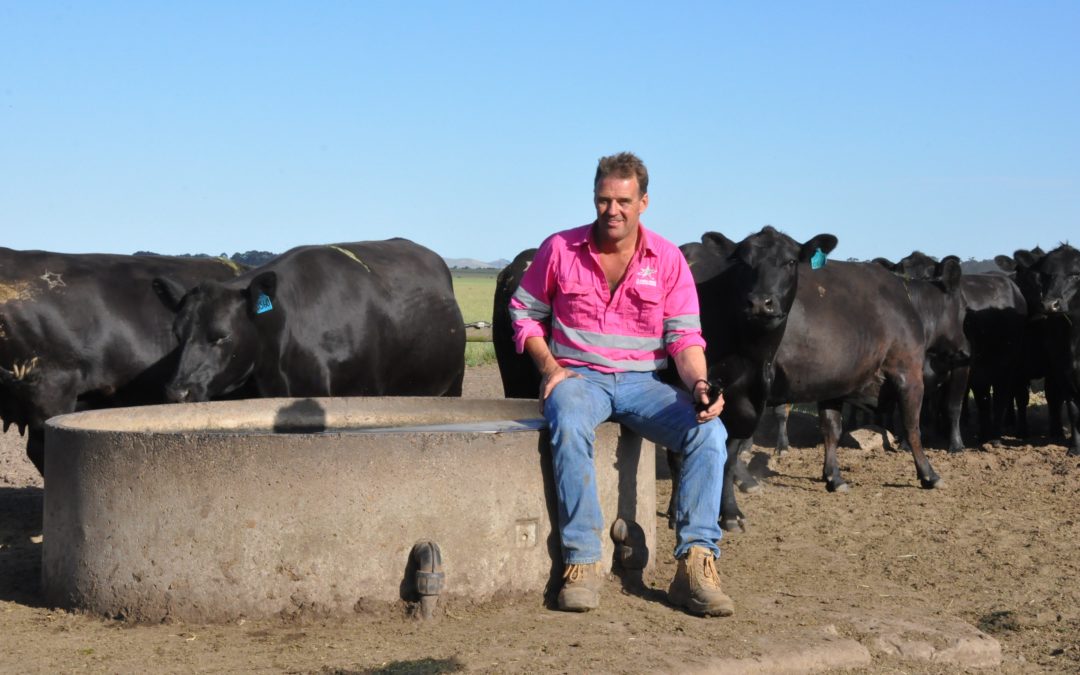 Breeding success: tailoring genetics to your market and environment