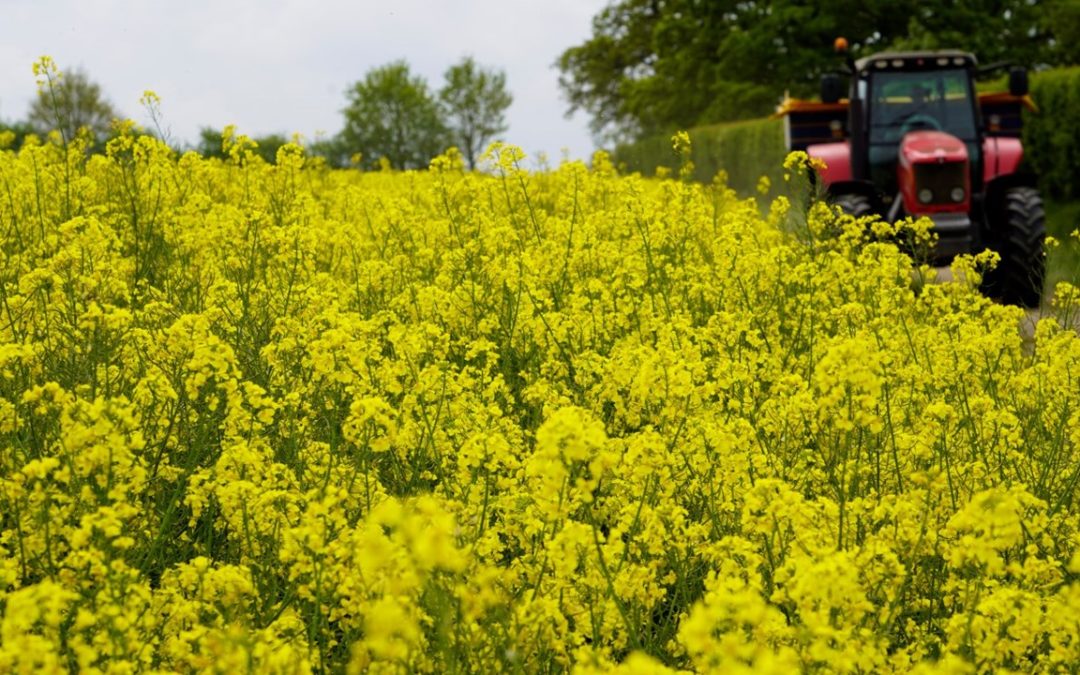 Hope for OSR as industry tackles challenges together