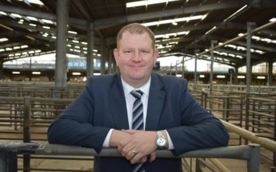 TAC and Scottish Government must secure fair eco-friendly trade for beef and lamb producers