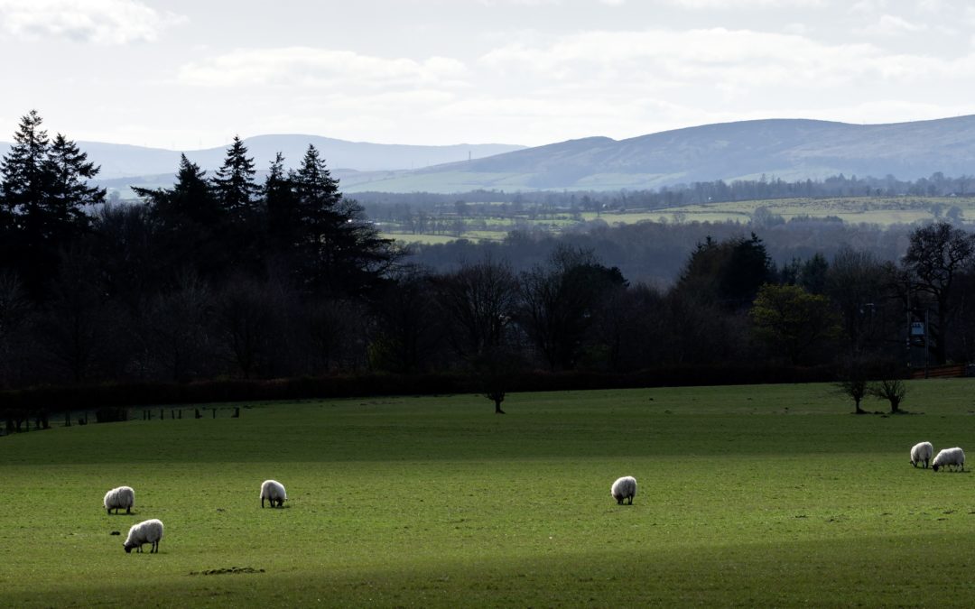 SRUC vision and investment focuses on the North East