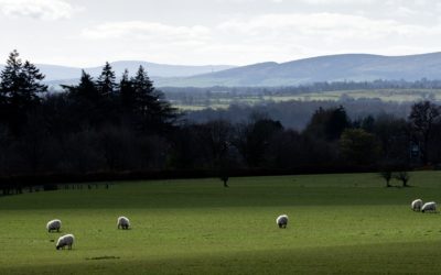 SRUC vision and investment focuses on the North East