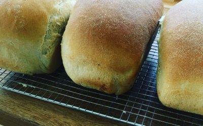 Making bread – the art, the science and the joy