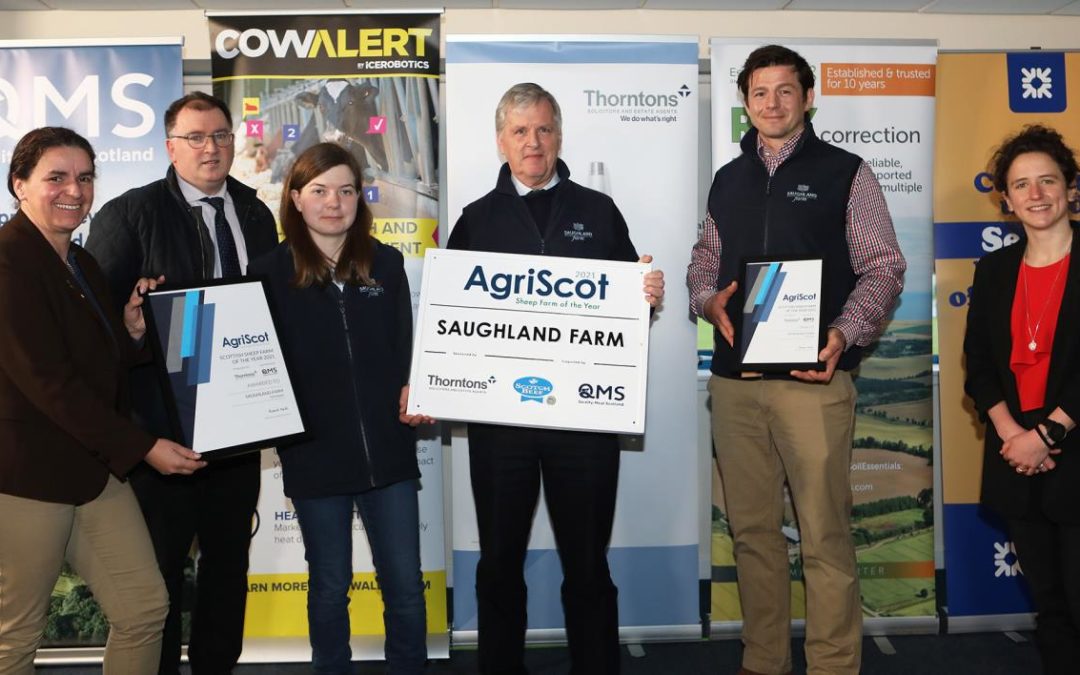 Saughland Farm awarded AgriScot Scottish Sheep Farm of the Year