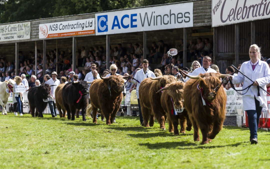 Turriff Show returns and plays host to iconic cattle national show