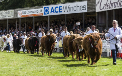 Turriff Show returns and plays host to iconic cattle national show