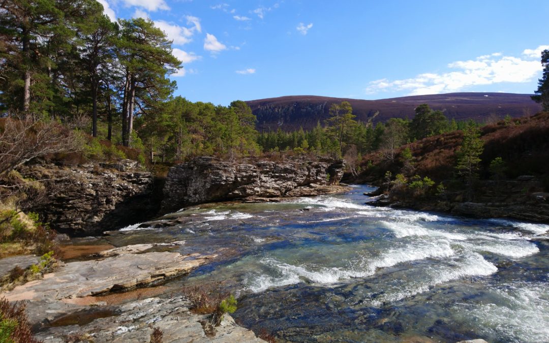 Green spaces improve wellbeing – Welcome to the East Cairngorms