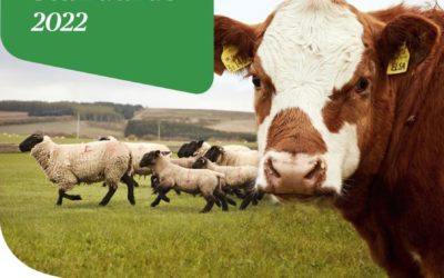 Quality Meat Scotland updates Cattle & Sheep Assurance scheme standards