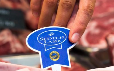 The Scotch Difference to be showcased at international food fairs