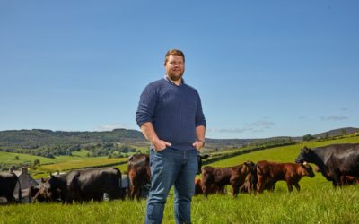 A cow’s tale: Less of what’s ‘aye been’ and more of what could be
