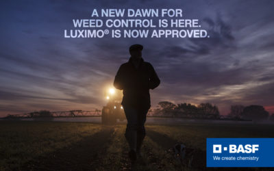 BASF’s Luximo® herbicide active substance approved in Great Britain