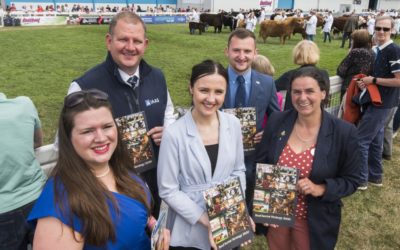 A beef-filled future: Beef Sector Strategy 2030 outlines growth plans for next eight years