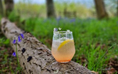 Highland Boundary Spirits Go Wild at The Chelsea Flower Show