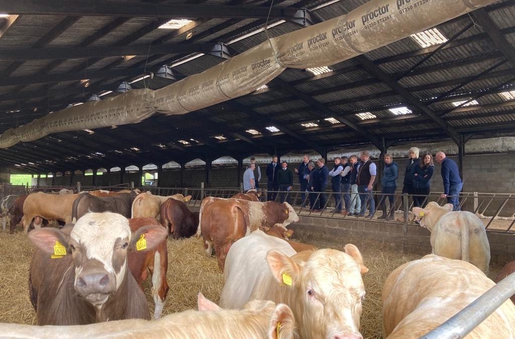 Young livestock auctioneers link up to look to future of the mart