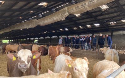 Young livestock auctioneers link up to look to future of the mart