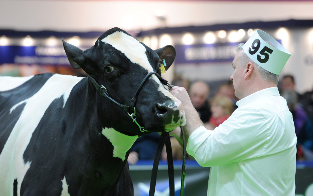 AgriScot show ring set to draw dairy herds, competing for a share of £25,000