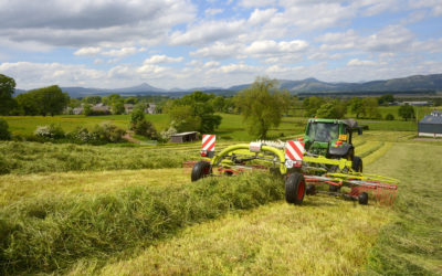Silage competition highlights importance of good forage analysis