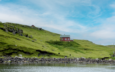 Faroe Islands’ Wild west farming