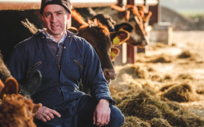 ABP announces £1.5 million investment in beef & lamb sustainability programme