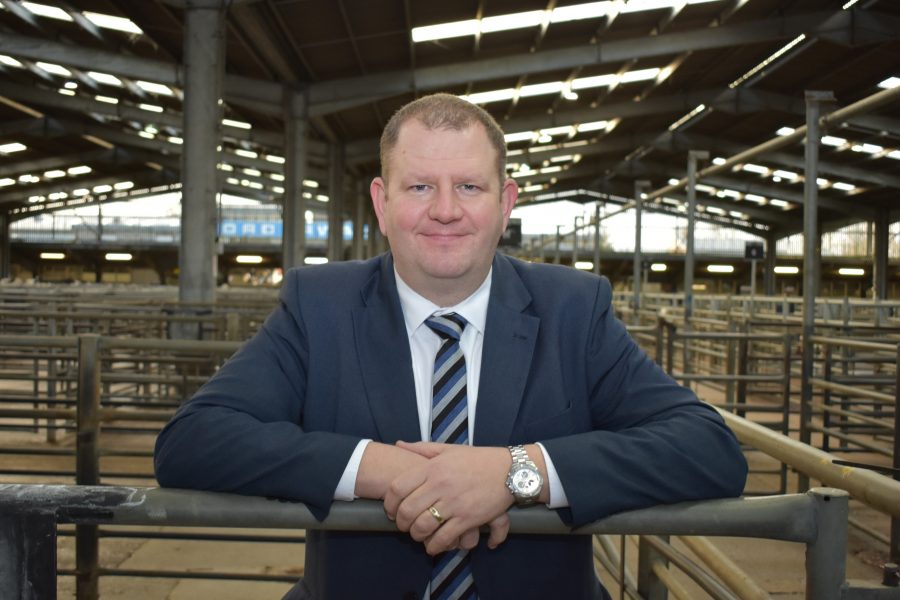 Entering the new world of Bovine EiD in Scotland