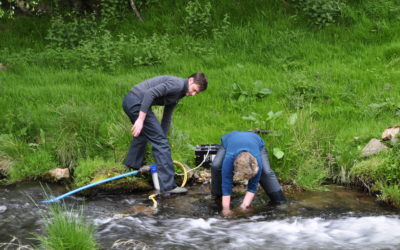 Scientific partnership focuses on water quality and animal health