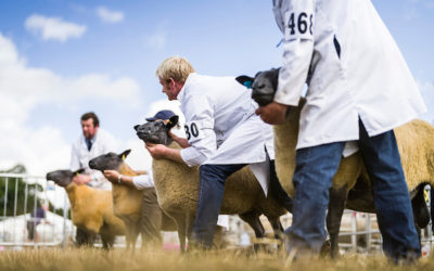 Turriff Show all set to showcase north-east farming and food