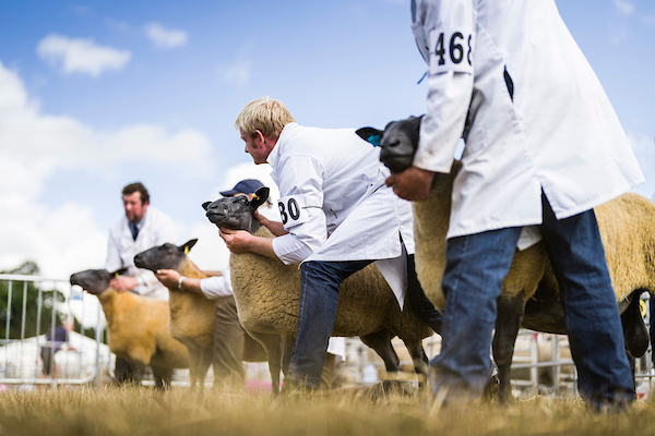 Turriff Show all set to showcase north-east farming and food