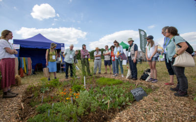 Groundswell Festival announces over 100 sessions, promising to deliver on a diversity of topics around regenerative agriculture.