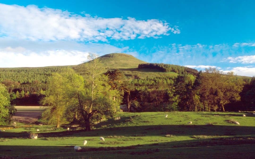 A groundswell sparks new regenerative farming festival for Scotland