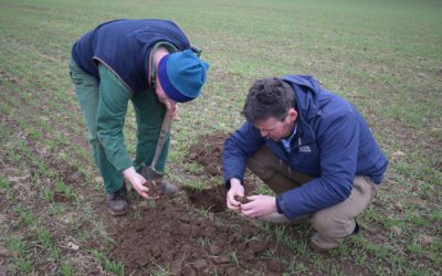 Putting a scientific spin on regen farming set to pay dividends