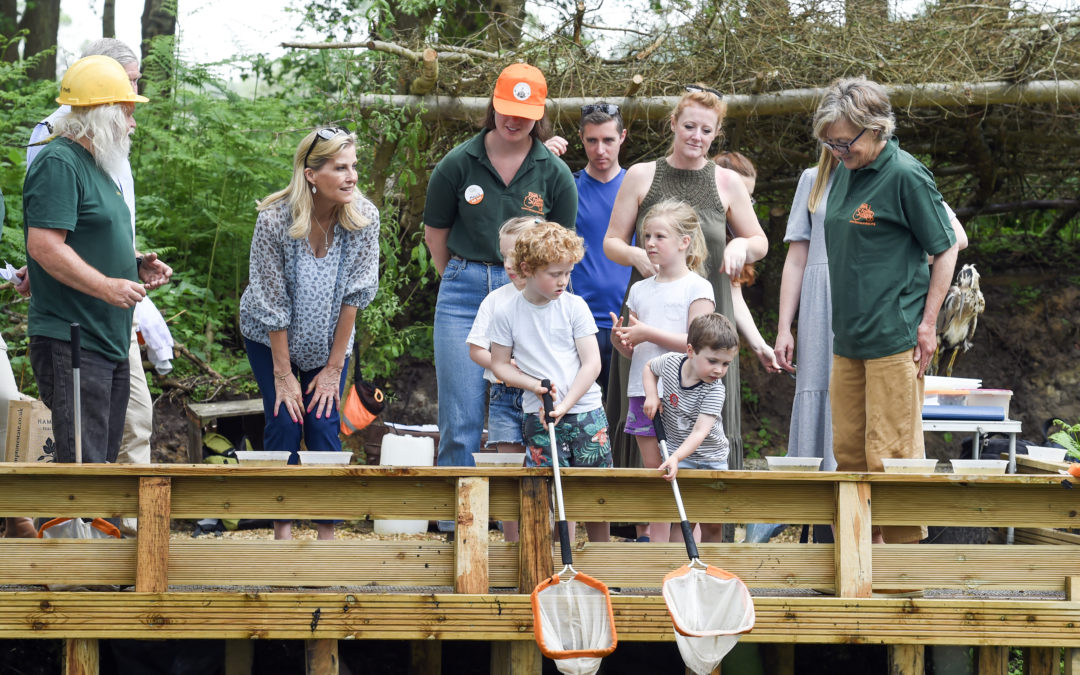 LEAF Open Farm Sunday connects communities with British farming and food