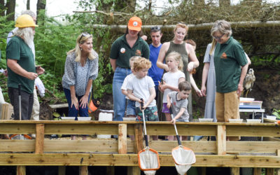 LEAF Open Farm Sunday connects communities with British farming and food