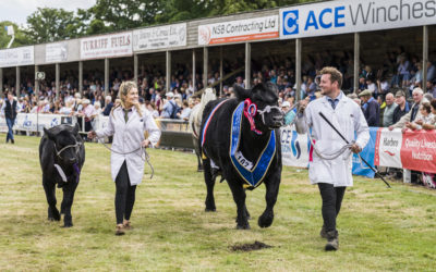 The Ryeland Scottish National Show and the Aberdeen Angus Summer National Show 2023