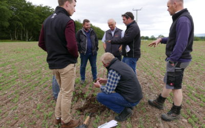 Back to basics: crop rotations key to soil group success