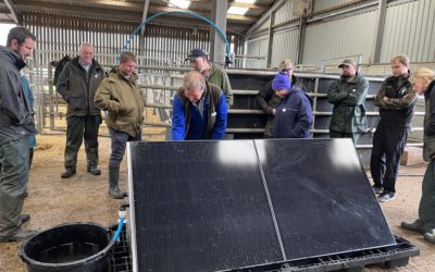 Information-packed afternoon at Dumfries Monitor Farm summer meeting