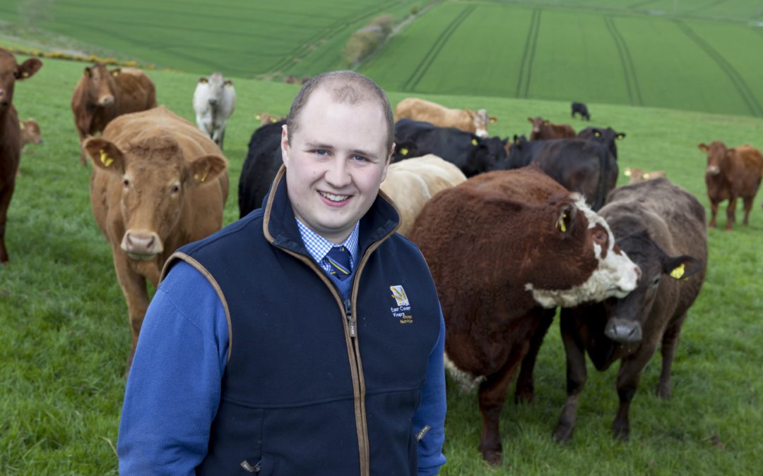 Variable grass quality calls for closer eye on calf nutrition