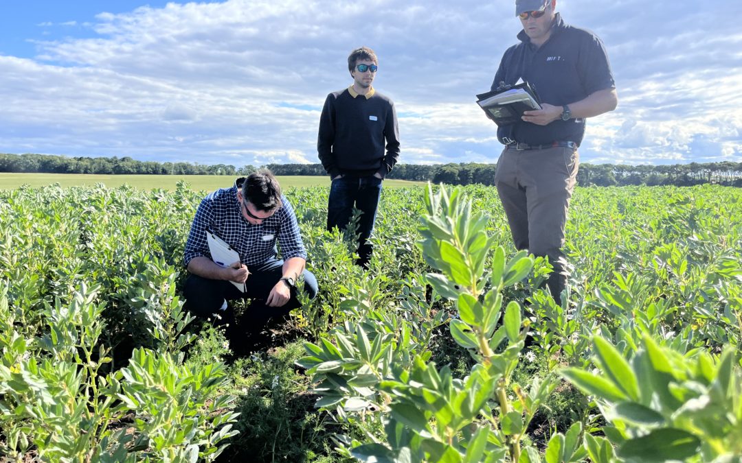 Arable challenges tackled at East Lothian Monitor Farm meeting