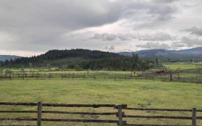 Canadian ranchers share Scotland’s perspective