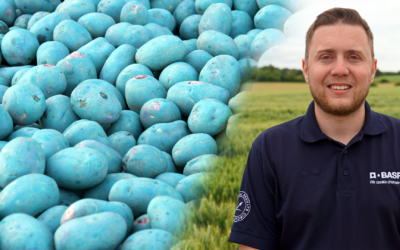 Honesty® is the best policy when it comes to pre-planting potato treatment