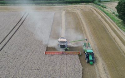Harvest Update: The ups and downs of farming in 2023