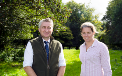 Grazing event puts the meat on the bones of ABP’s sustainability programme